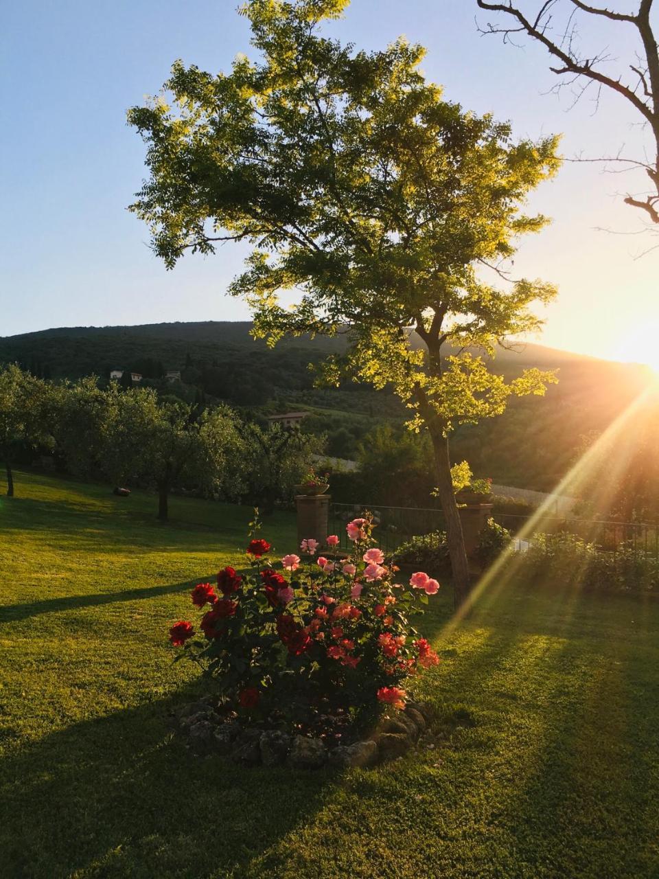 سان جيمينيانو Podere Bellavista المظهر الخارجي الصورة