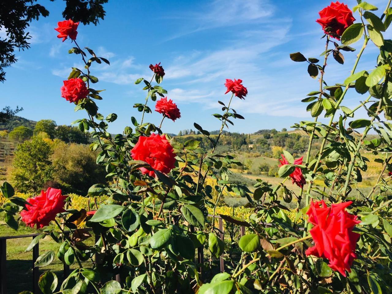 سان جيمينيانو Podere Bellavista المظهر الخارجي الصورة