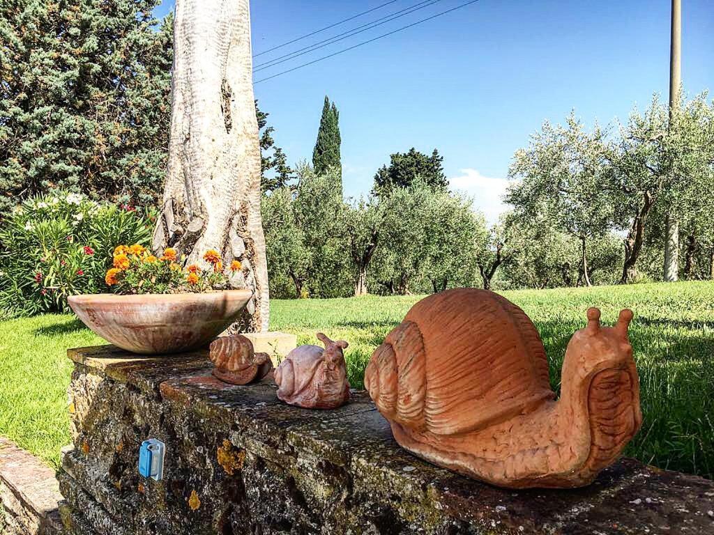سان جيمينيانو Podere Bellavista المظهر الخارجي الصورة