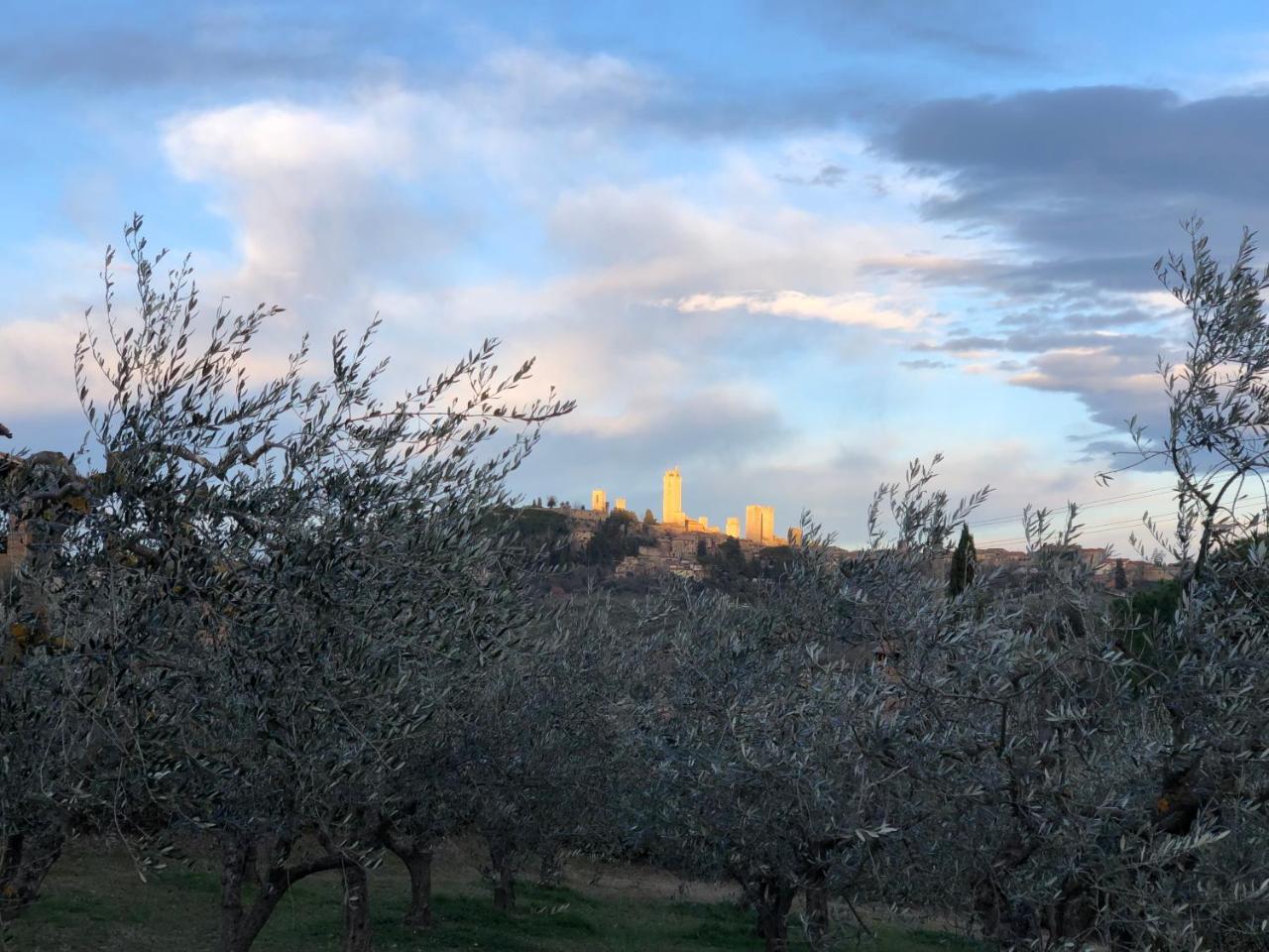 سان جيمينيانو Podere Bellavista المظهر الخارجي الصورة