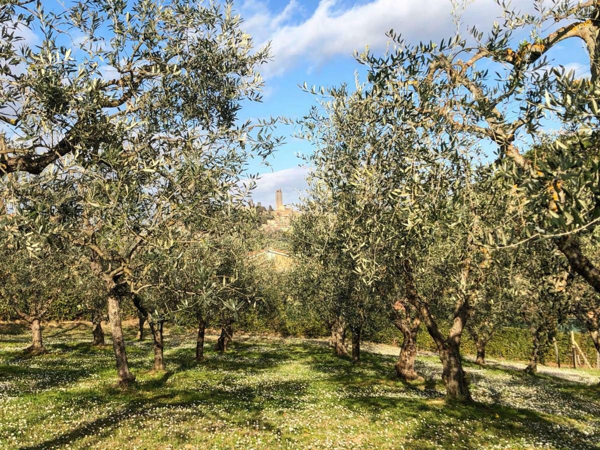 سان جيمينيانو Podere Bellavista المظهر الخارجي الصورة